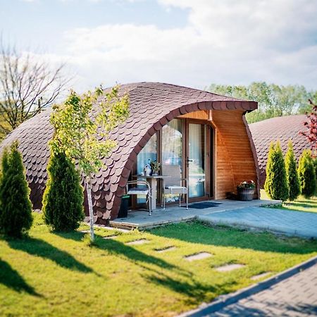 Montana Garden Otel Răşinari Dış mekan fotoğraf