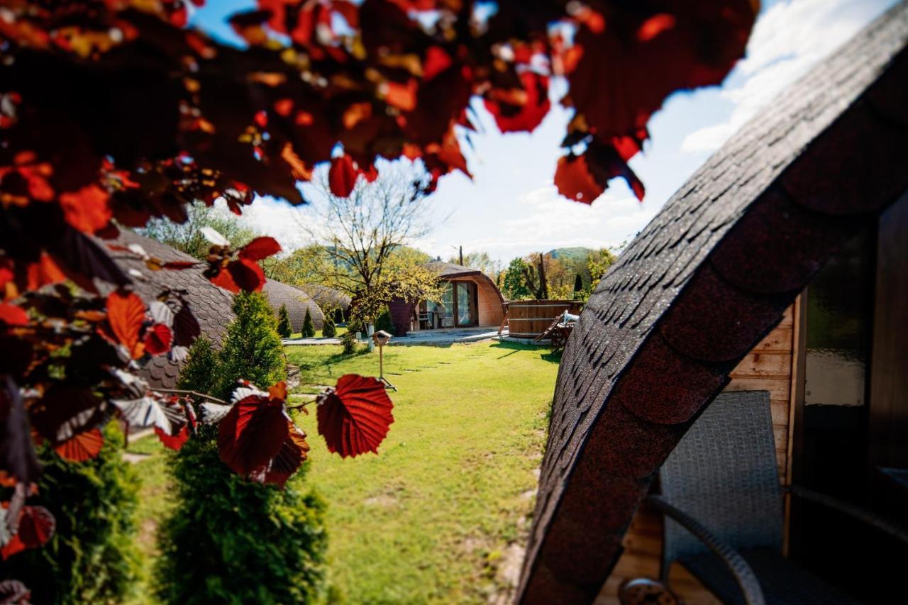 Montana Garden Otel Răşinari Dış mekan fotoğraf