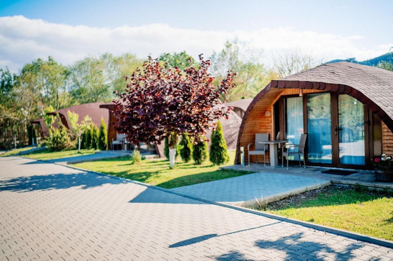 Montana Garden Otel Răşinari Dış mekan fotoğraf