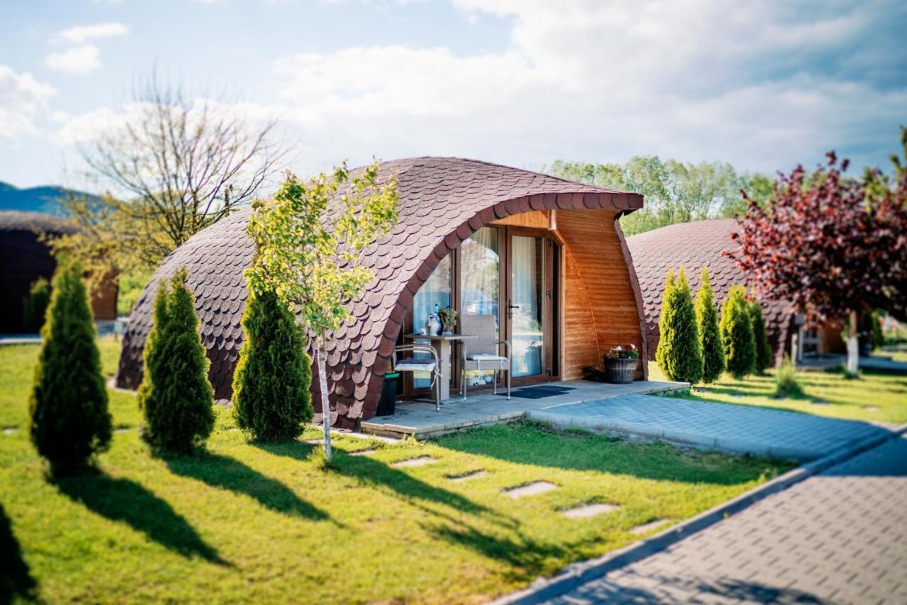 Montana Garden Otel Răşinari Dış mekan fotoğraf