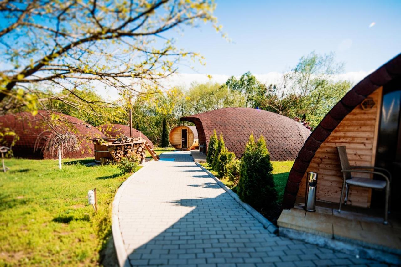 Montana Garden Otel Răşinari Dış mekan fotoğraf