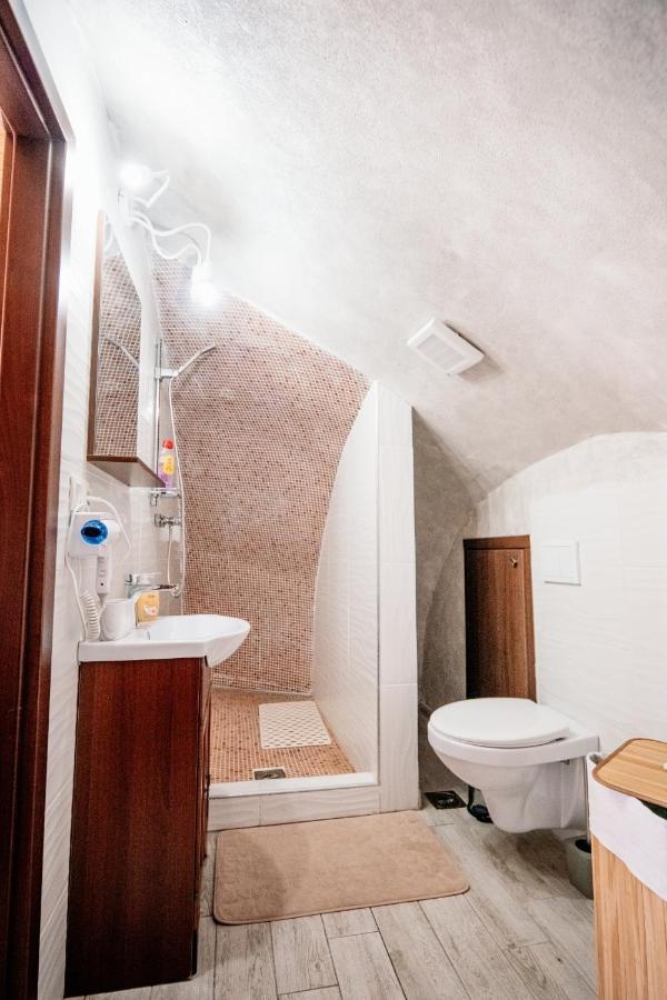 Montana Garden Otel Răşinari Dış mekan fotoğraf