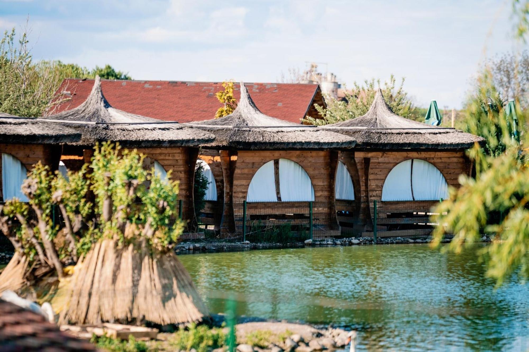 Montana Garden Otel Răşinari Dış mekan fotoğraf